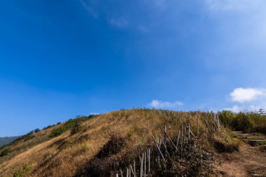 Kew Mae Pan 'daki doğal manzara ve ağaçlar