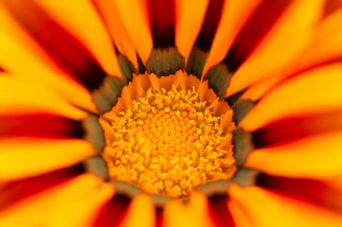 Sarı bulanık bokeh arkaplanı