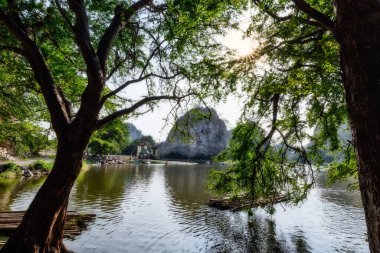 Sarı bulanık bokeh arkaplanı