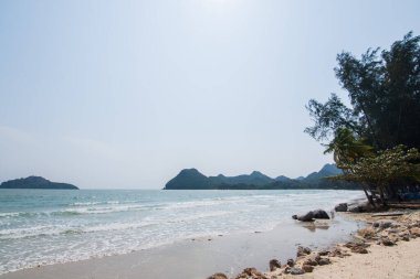 Deniz ve doğa manzarası