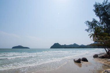 Deniz ve doğa manzarası