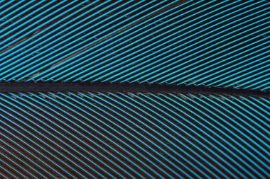 Sarı bulanık bokeh arkaplanı