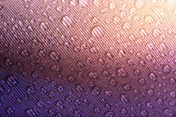 Macro Drops Water Feathers — Stock Photo, Image
