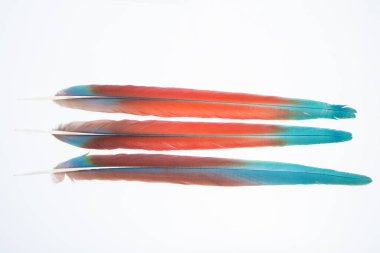 Yakın tüylü beyaz bir arka plan al.