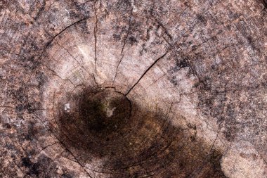 Eski ahşap tahtaların arka plan deseni