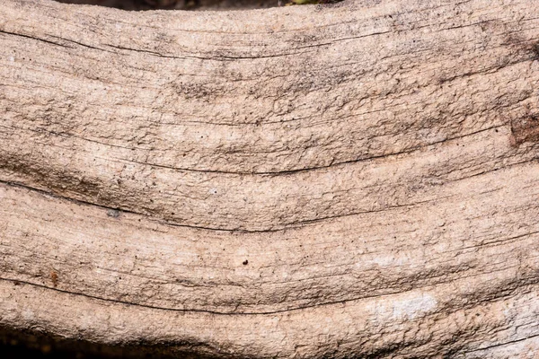 Old Wooden Board Background — Stock Photo, Image