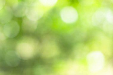 Bokeh açık yeşil doğanın