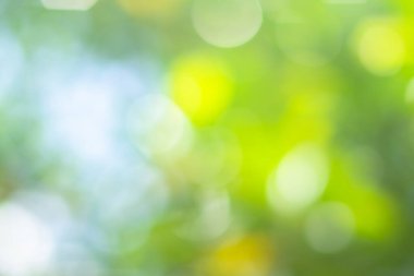 Bokeh açık yeşil doğanın