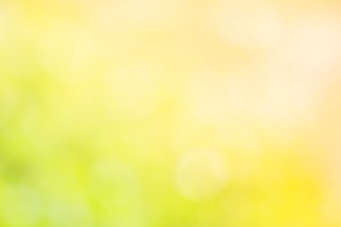 Güneş ışığı, ağaçların yeşil yapraklarını buğulandırır.