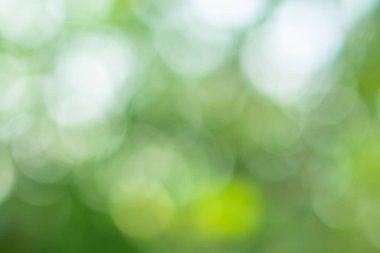 Bokeh daireleri yeşil ışıktan bulanıklaştı