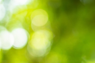 Bokeh daireleri yeşil ışıktan bulanıklaştı