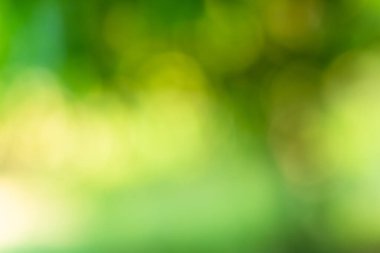 Bokeh daireleri yeşil ışıktan bulanıklaştı