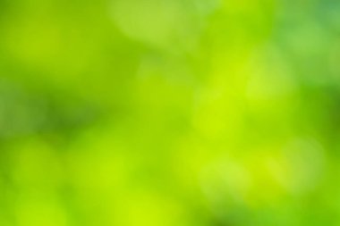 Bokeh daireleri yeşil ışıktan bulanıklaştı