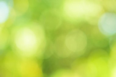 Bokeh daireleri yeşil ışıktan bulanıklaştı