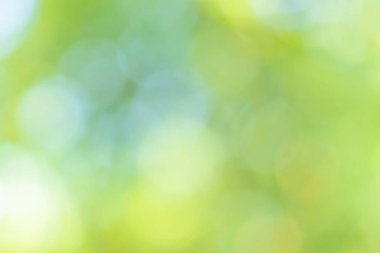 Bokeh daireleri yeşil ışıktan bulanıklaştı