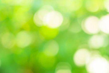 Bokeh daireleri yeşil ışıktan bulanıklaştı