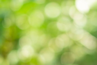 Bokeh daireleri yeşil ışıktan bulanıklaştı