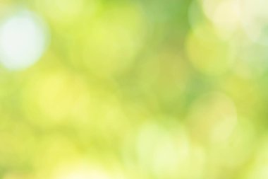 Bokeh daireleri yeşil ışıktan bulanıklaştı