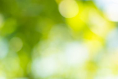 Doğal ışık yeşil çember arkaplanı bokeh