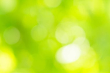 Doğal ışık yeşil çember arkaplanı bokeh