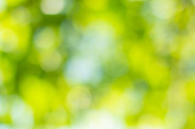Doğal ışık yeşil çember arkaplanı bokeh