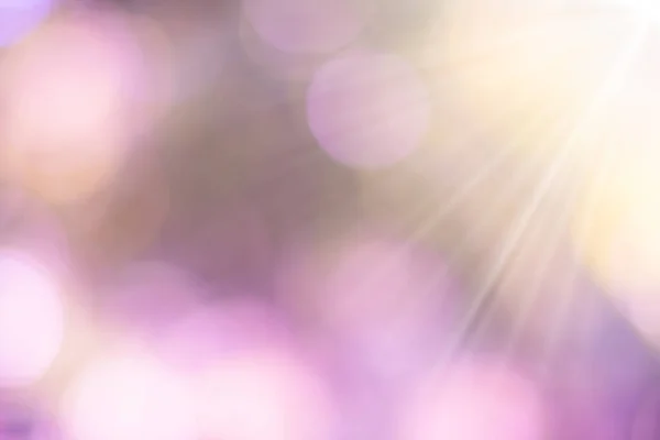 Bokeh Sfondo Con Rosa Luce Solare Arancione Essere Utilizzato Come — Foto Stock