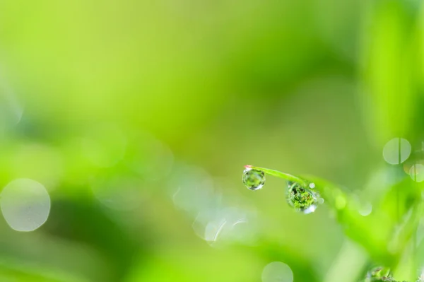 Conceito Amor Mundo Ambiente Verde — Fotografia de Stock