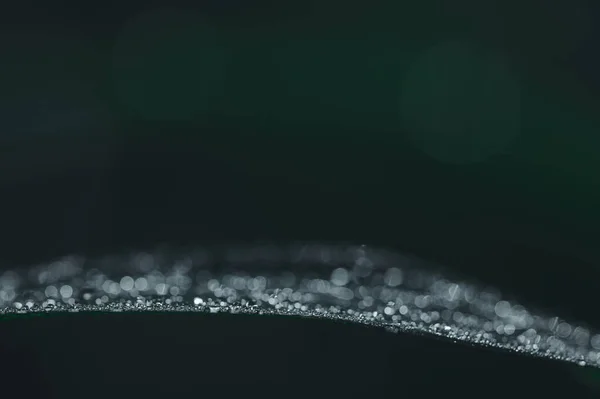 Het Concept Van Liefde Wereld Groene Omgeving Waterdruppels Bladeren Wazig — Stockfoto