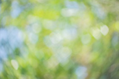 Doğal renklerin kalp şeklinde bokeh arkaplanı.