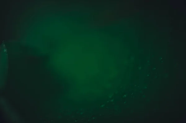 Концепція Кохання Світі Зелене Середовище Водяні Краплі Листі Розмитий Фон — стокове фото