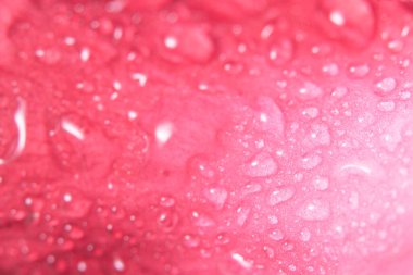 Su damlaları pembe çiçek yapraklarına düşer.