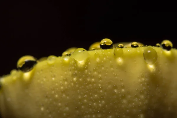 Makró Vízcseppek Sárga Növényeken — Stock Fotó