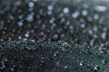 Arka plan makro suyu tüylere düşer