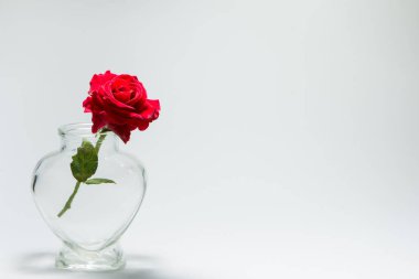 Kalp şeklindeki kırmızı güllerin Sevgililer Günü Arkaplanı
