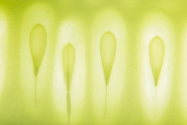 Makro arkaplan, salatalık tohumu deseni