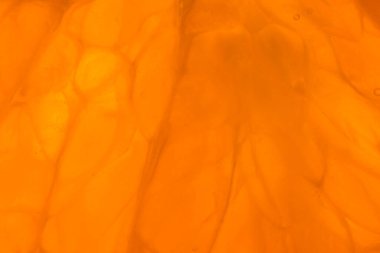 Arka plan makro meyve turunçgilleri