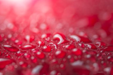 Su çiçeği yaprakları üzerinde makro arkaplan
