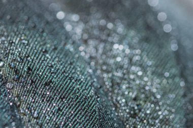 Tüylü arka planda Makro su damlaları bokeh