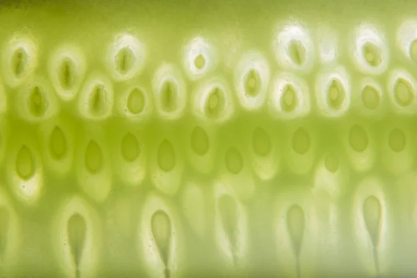 Macro Concombre Fond Vert — Photo