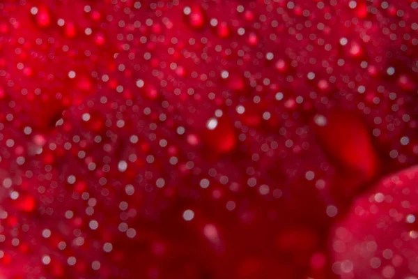 Fundo Macro Gotas Água Rosas Vermelhas — Fotografia de Stock