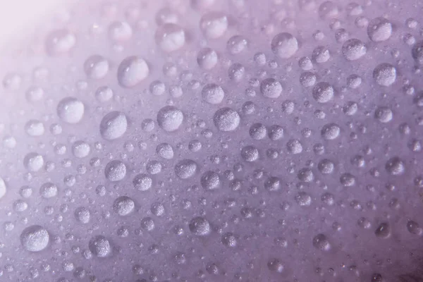 Hintergrund Makro Wassertropfen Auf Rosa Blütenblättern — Stockfoto