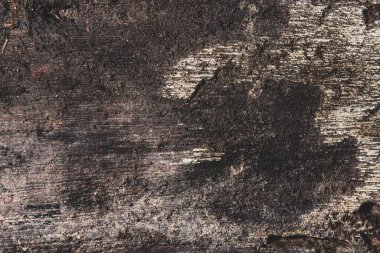 Koyu renk ahşap zemin