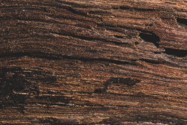 Arkaplan dokusu koyu ahşap tonlar