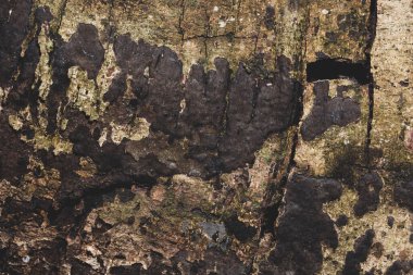 Koyu renk ahşap zemin