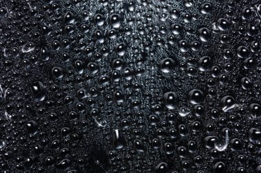 Şeffaf plastik tabaka üzerinde makro damlası, siyah arkaplan