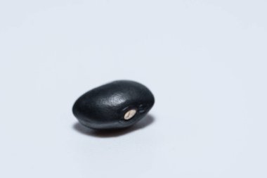 Siyah fasulye, beyaz arka plan.