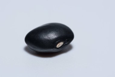 Siyah fasulye, beyaz arka plan.