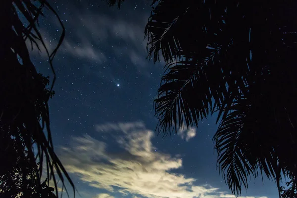 Fond Ciel Étoiles Nuit Voie Lactée — Photo