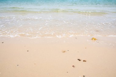 plaj ve deniz dalgaları