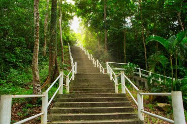 Manzaralı doğa patikaları, ormanlık alanlar.